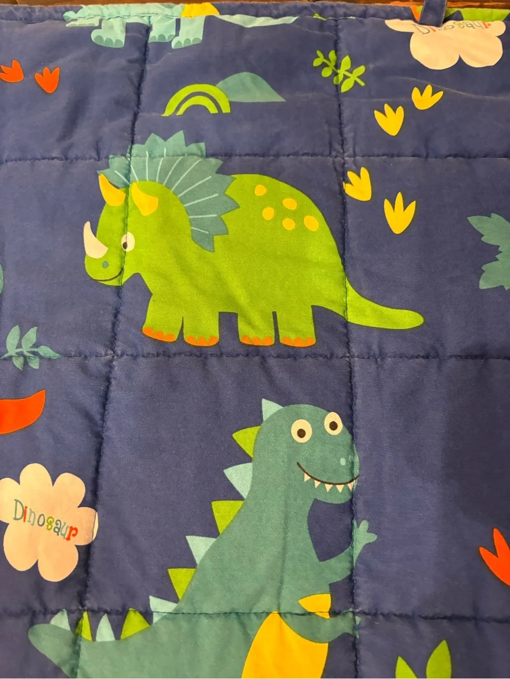 Kids' Blue Dinosaur Comforter Weighted Blanket - Fun Dino Print